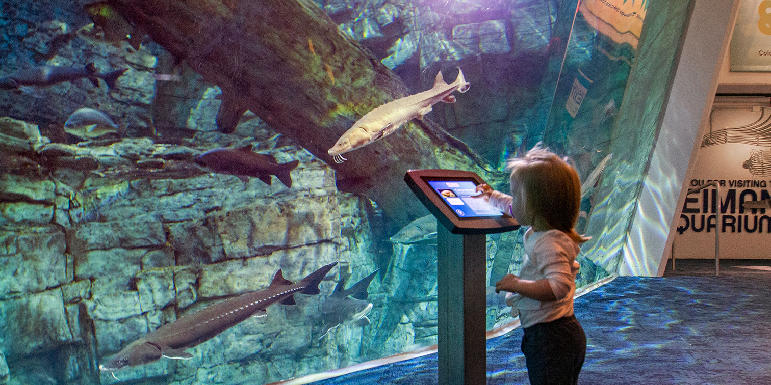 Discovery World Reiman Aquarium