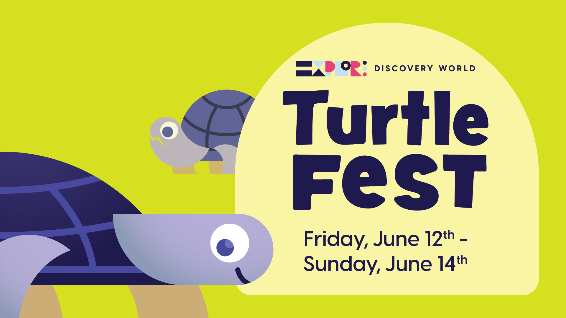 Turtle Fest 2026