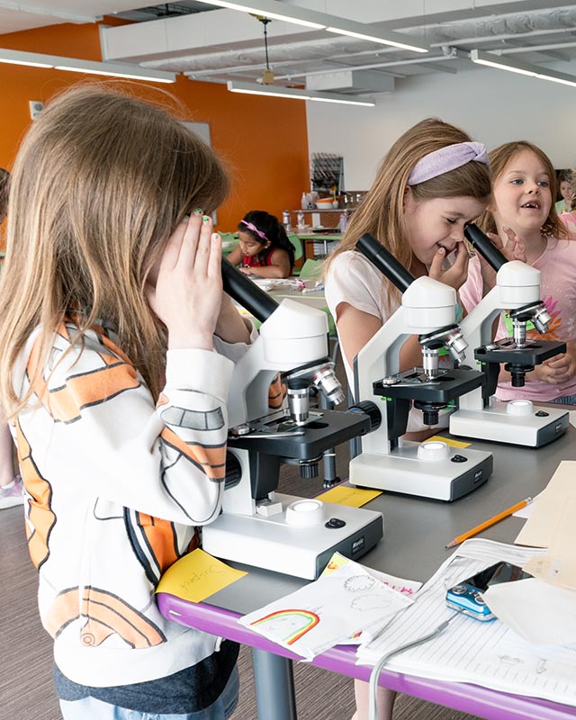 Get hands-on with powerful microscopes, explore a hidden world of incredible detail, and discover how scientists uncover the unseen every day.